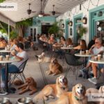 Coffee shops in Miami with pet-friendly patios