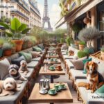 Coffee shops in Paris with pet-friendly patios