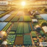 sustainable agriculture practices for future food production