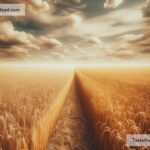 the impact of climate change on crop yields