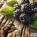 Why fruits like blackberries have a tart finish